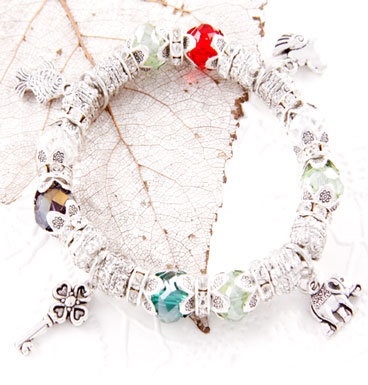 Armband Charms and color