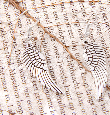 Oorbellen Small Wings